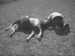 Titeuf / Essai d  'aprentissage du coucher