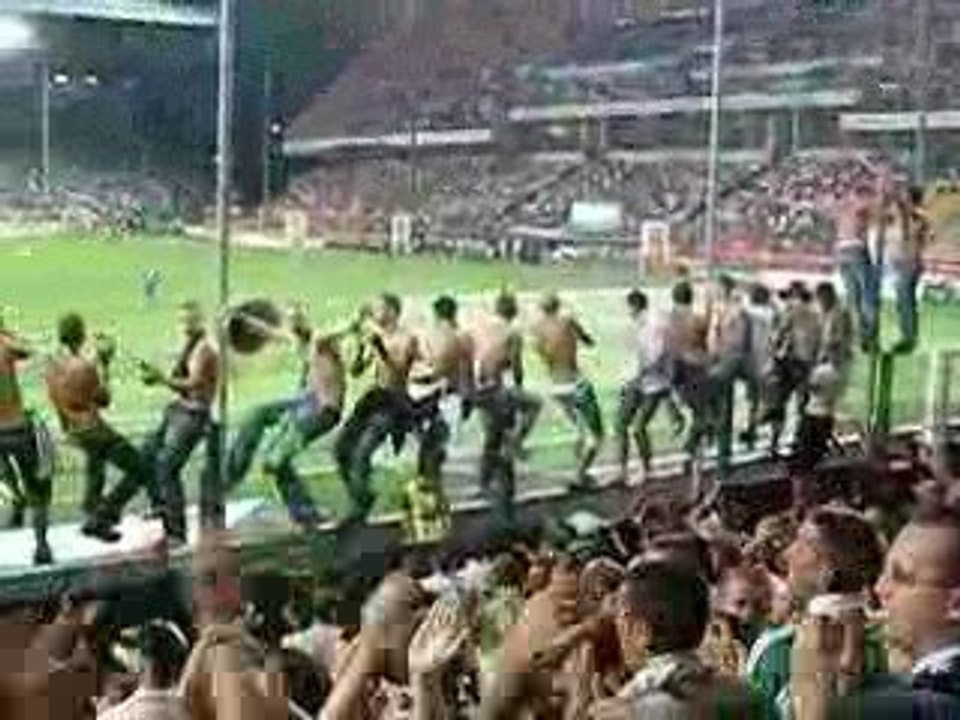 asse nice 0910 (torse nu)