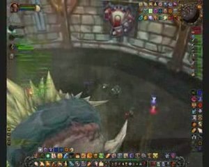 Northrend Beasts - TURX / Wildhammer - EU