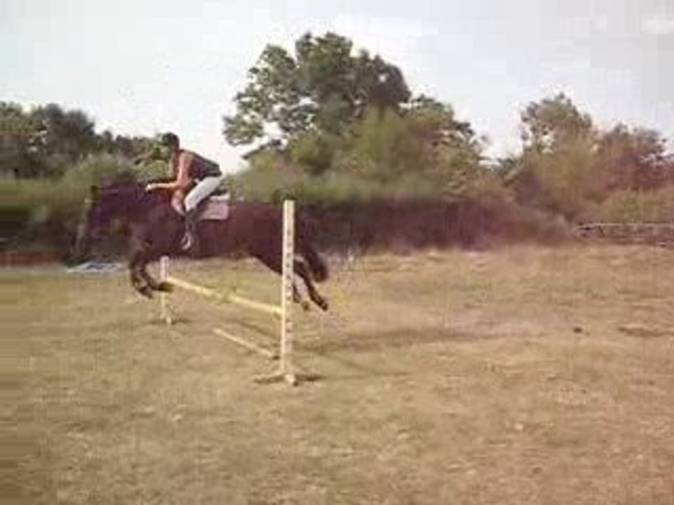 2 obstacles