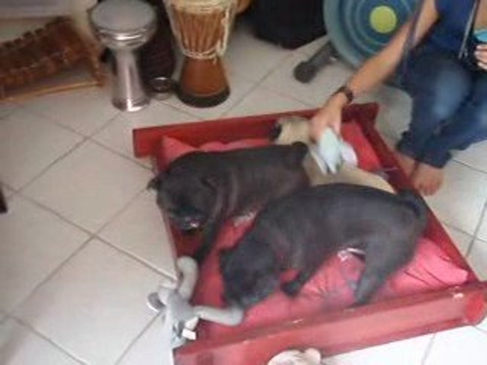 visite Dali et sandrine dimanche 9 aout 09 037