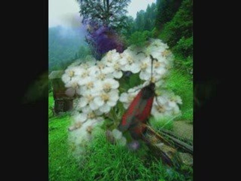 fatih Reyhan-Yar seni sevduğumi- kavrun.tr.gg