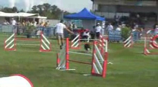 Trophée agility par equipe Montelimar 2009
