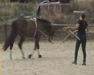 Apprentissage de l'enchainement du pas espagnol 2