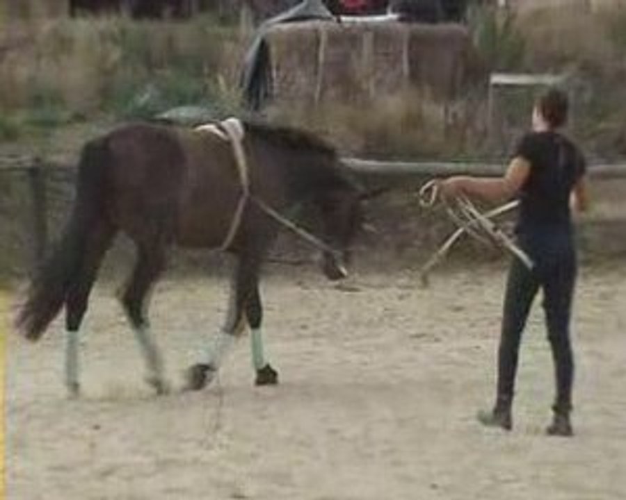 Apprentissage de l'enchainement du pas espagnol 2