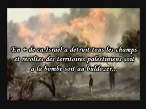 the signs :le sionisme démasqué par des cons(3)