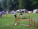 concours agility drusenheim OPEN