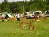 Concours agility Drusenheim GPF