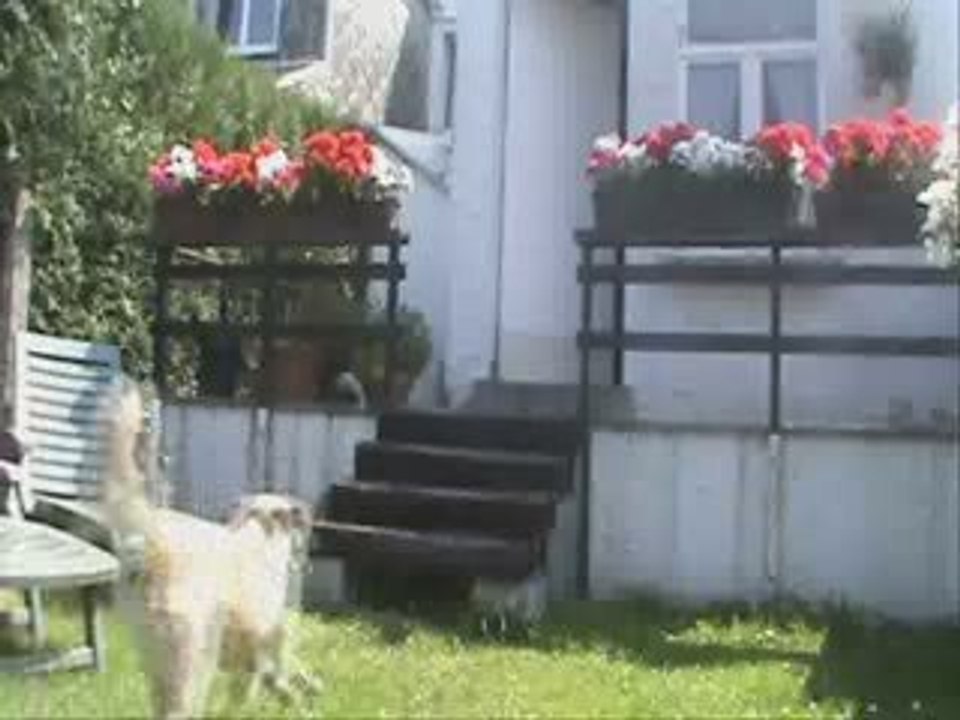 Belgian Parkour - Spring o'9