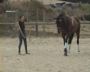 Apprentissage de l'enchainement du pas espagnol