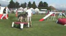 Trophée agility par equipe Montelimar 2009
