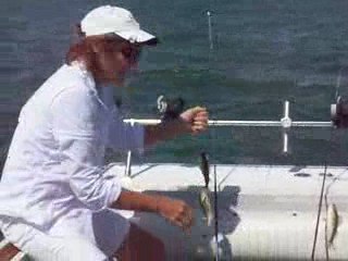 Скачать видео: Perch fishing Lake Erie