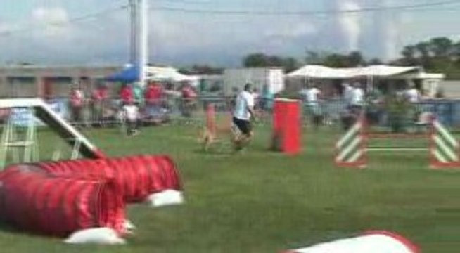 Trophée agility par equipe Montelimar 2009