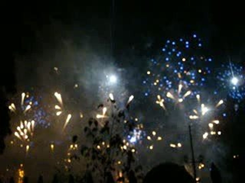 bouquet final fetes de geneve 2009 magnifique!