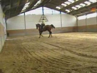 Dressage Médoc de Ste Hermelle