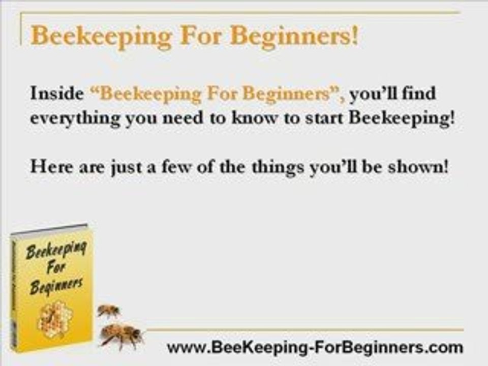 Beekeeping For Dummies! - Bee Keeping For Dummies!