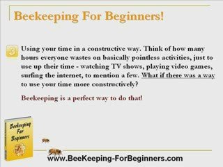 Beekeeping For Beginners! – Bee Keeping For Beginners!
