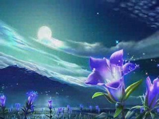 Самый лучший клип