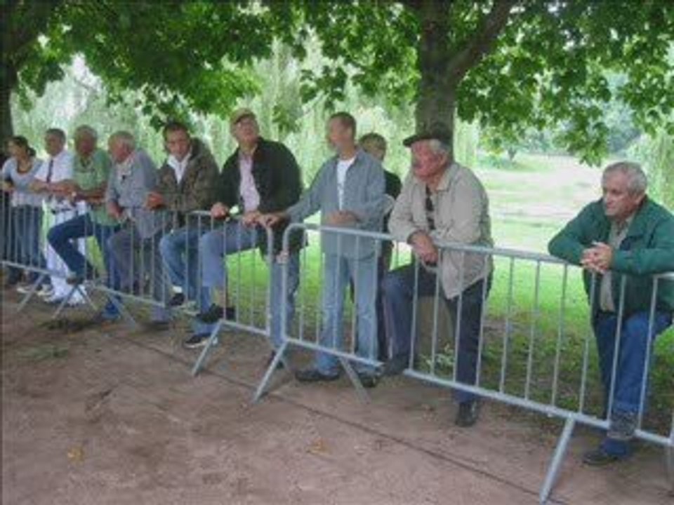 Chevaux Trait Etang 100809