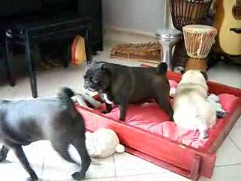 Dali en visite chez sa maman Péipta !!!!