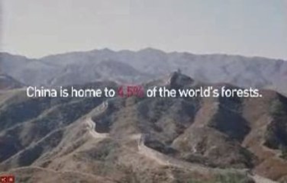 China's Forests