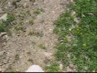 walk in the mountains