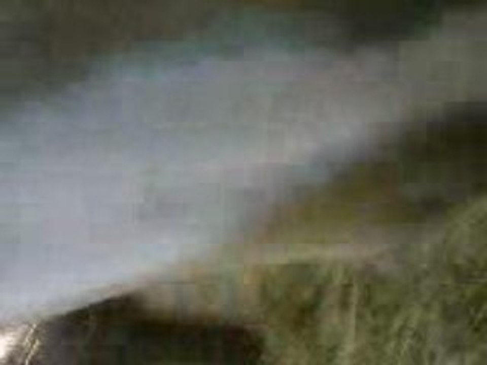 cheval au pré