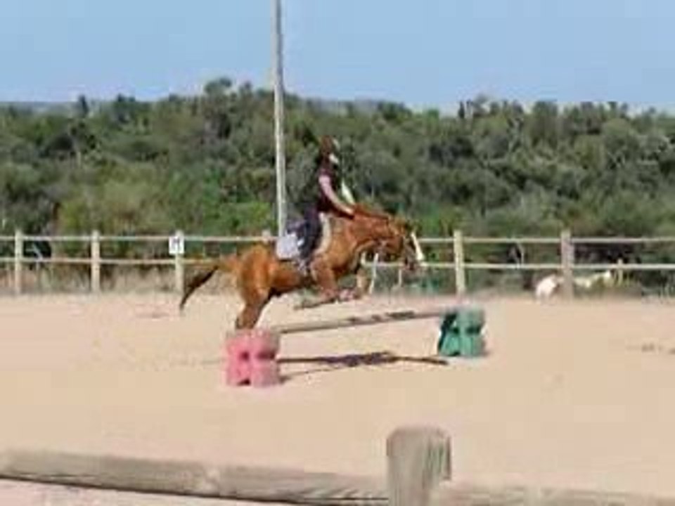 flash et moi