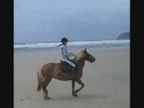balade plage a cheval