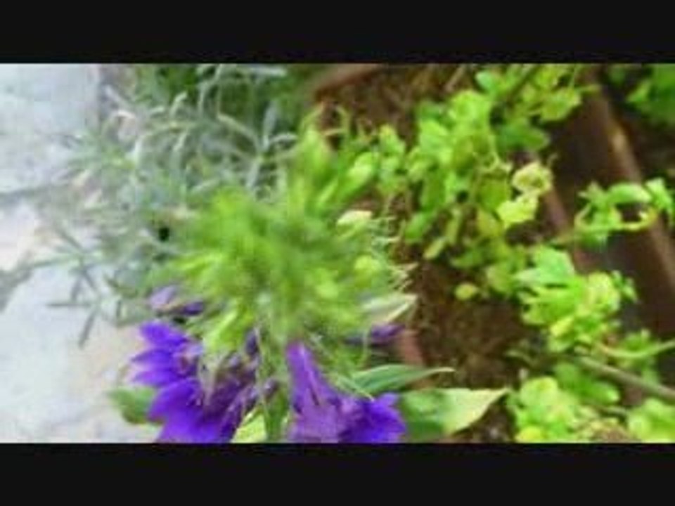 TEST3 - SORTIE WMV 480x360