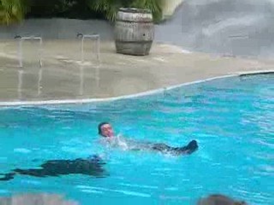 zoo, aout 2009(otarie)