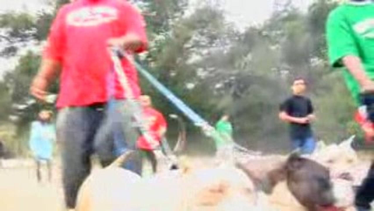 DJ Quik & Terrace Martin - Blueline Family Runnin' Thangs