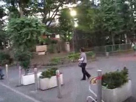 Grillons à Senso-ji