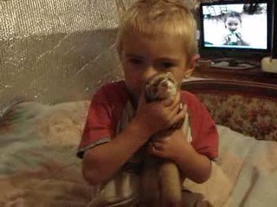 theo