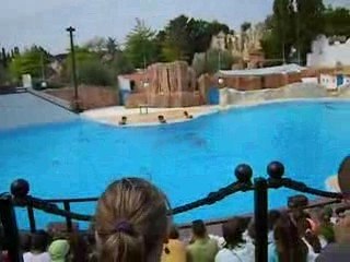 Spectacle dauphin suite