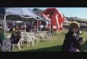 Australian Life: A Day at the Races