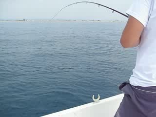 Pêche daurade