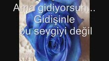 DEMEK GİDİYORSUN