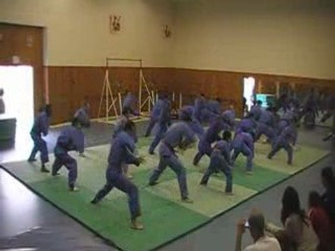 Vovinam Viet Vo Dao : demo juin 2009 - 1