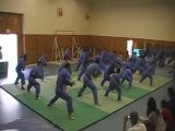 Vovinam Viet Vo Dao : demo juin 2009 - 1