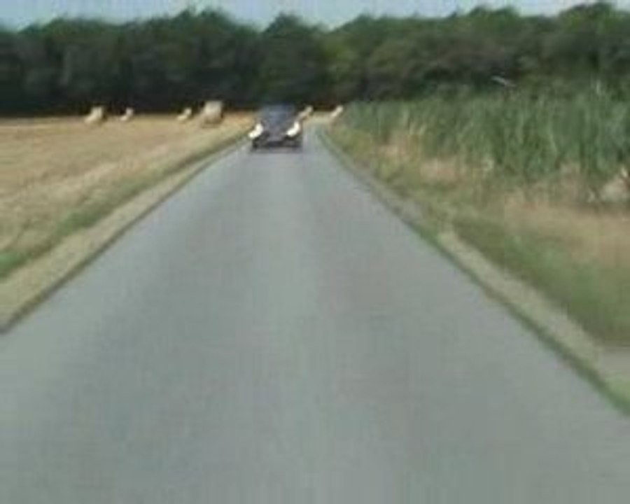 Lancia Delta HF Intégrale 8s - Driver jojothejojos