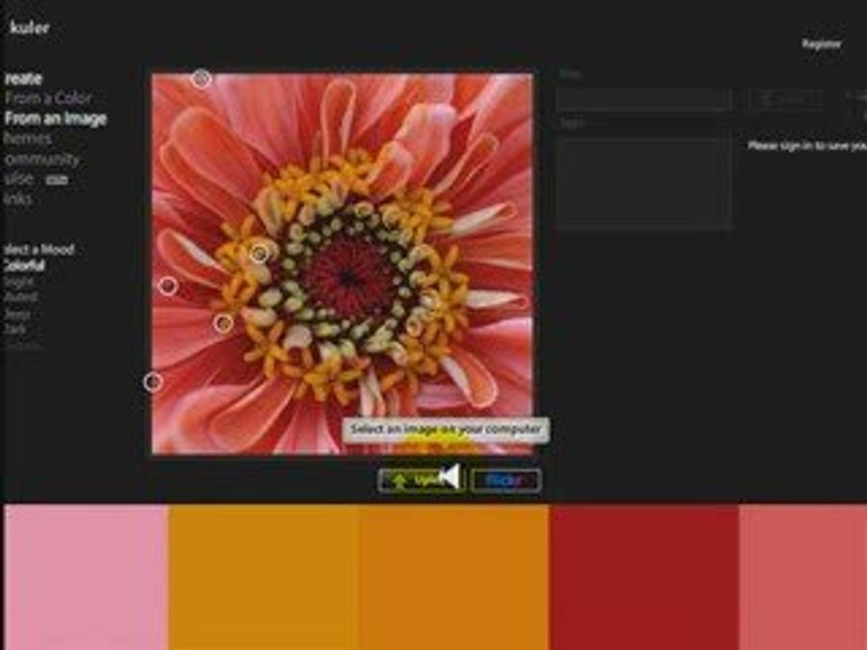 תכנה מקצועית להתאמת צבעים | לילך דרור