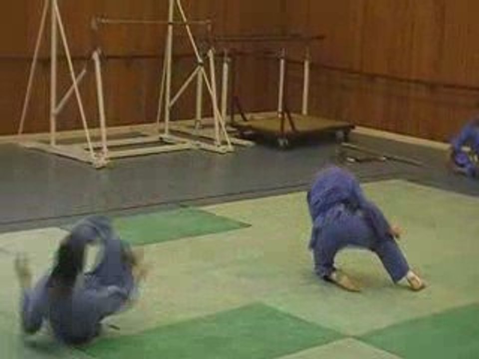 Vovinam Viet Vo Dao : demo juin 2009 - 2