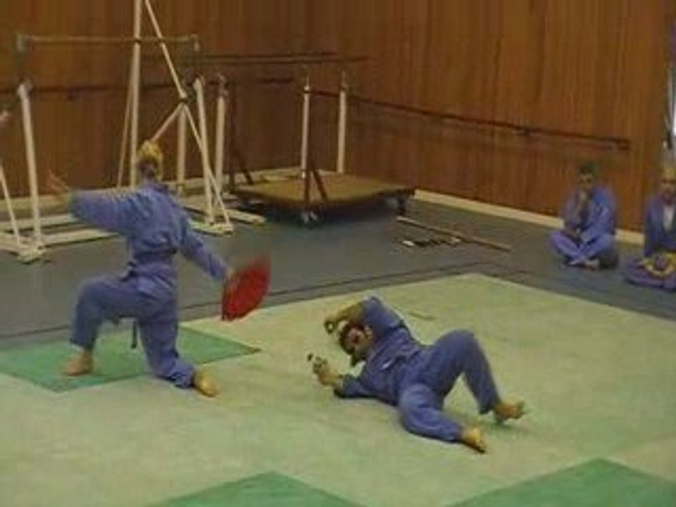 Vovinam Viet Vo Dao : demo juin 2009 - 3