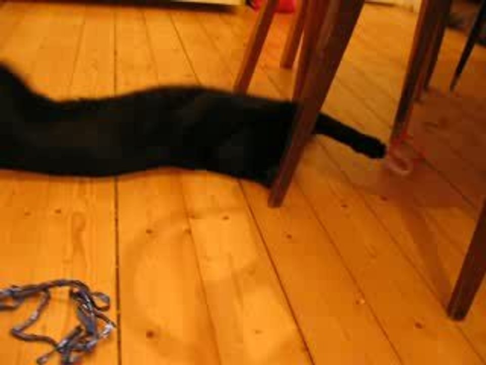 Quand ti-futz est essouflé ...