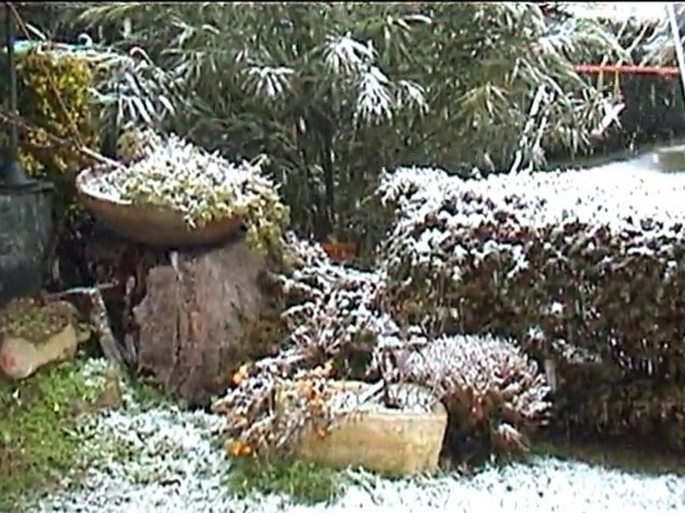 NEIGE jardin 28 février 2005