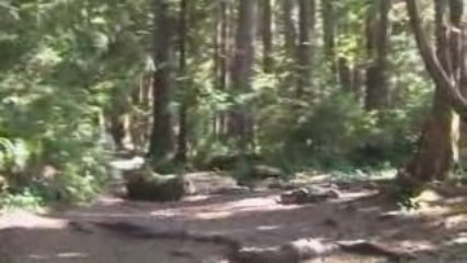 Nitinat: A Hidden Gem for Kitesurfers