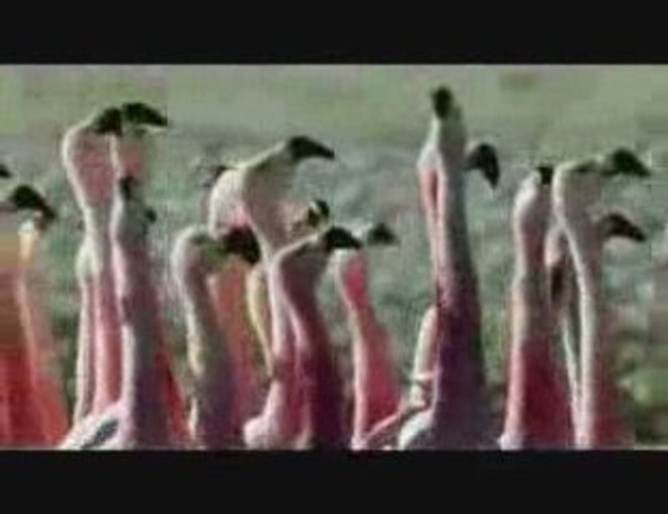 La nature est bien plus belle que la ville