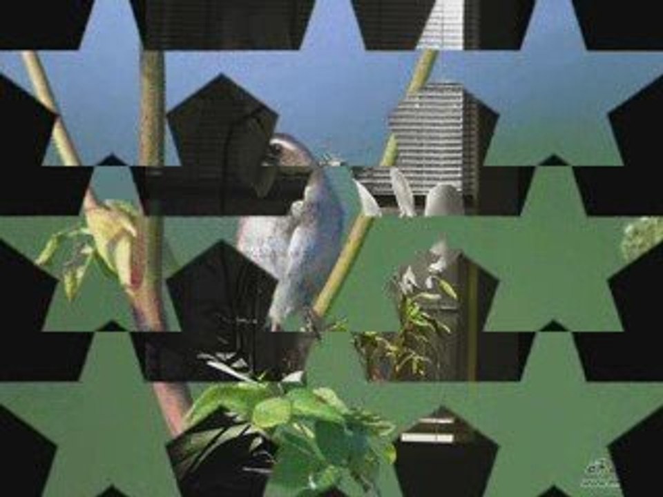 Giọt Nắng Bên Thềm