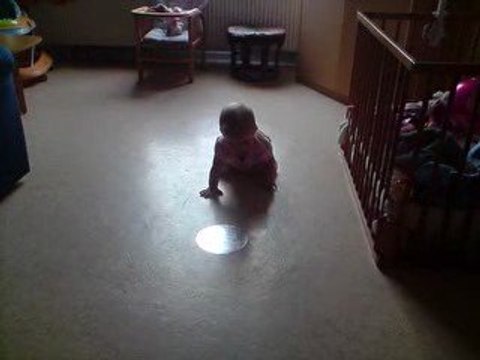 zoe premier quatre pattes